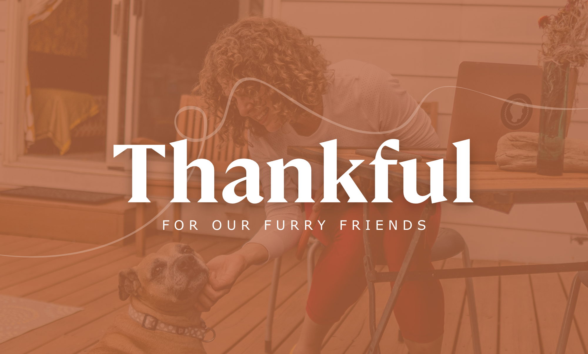 We Are Thankful For Our Furry Friends