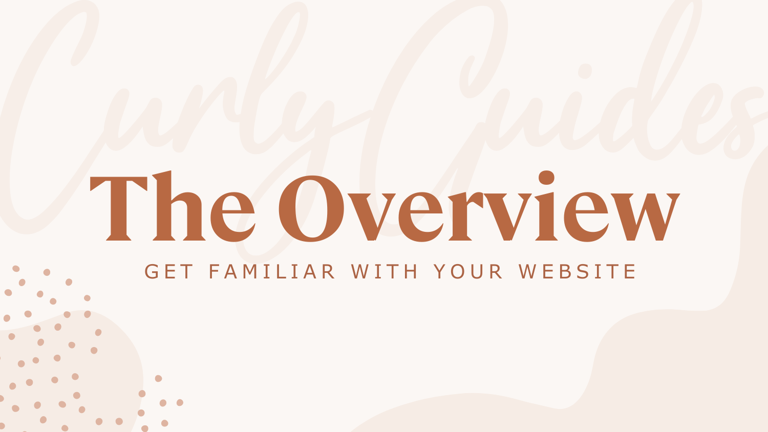 The Overview | Get Familiar With Your Website